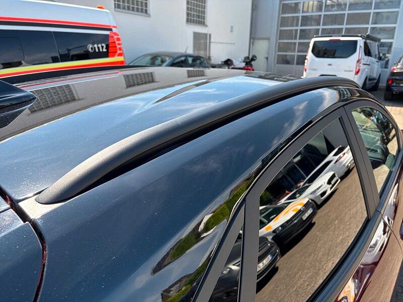 Ford Puma 1.0 HYBRID Aut Vivid Ruby Edition |Massage|