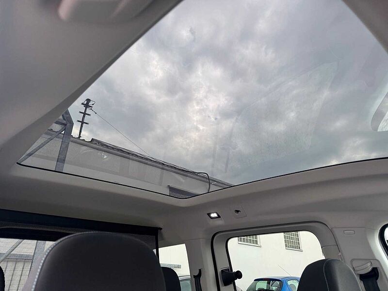 Ford Tourneo Connect 1.5 EcoBoost ACTIVE |AHK|LED|